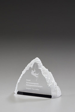 79040-Iceberg-Award-web